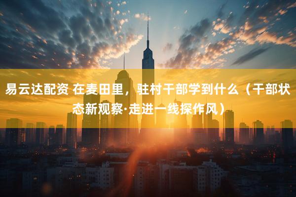 易云达配资 在麦田里，驻村干部学到什么（干部状态新观察·走进一线探作风）