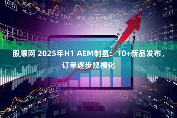 股顺网 2025年H1 AEM制氢：10+新品发布，订单逐步规模化