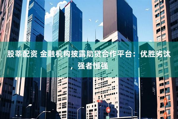 股莘配资 金融机构披露助贷合作平台：优胜劣汰，强者恒强
