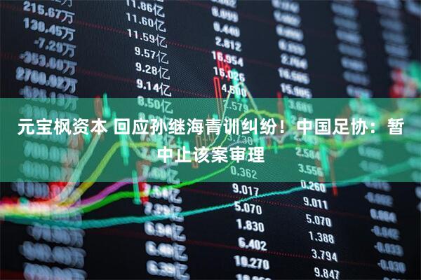 元宝枫资本 回应孙继海青训纠纷！中国足协：暂中止该案审理