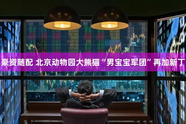豪资随配 北京动物园大熊猫“男宝宝军团”再加新丁