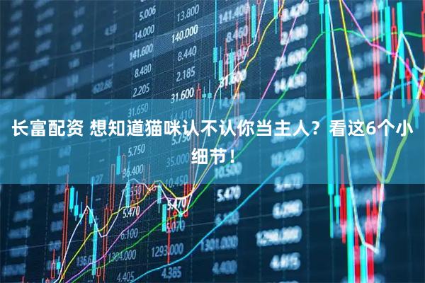 长富配资 想知道猫咪认不认你当主人?看这6个小细节!