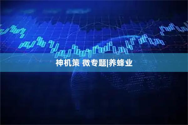 神机策 微专题|养蜂业