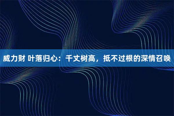 威力财 叶落归心：千丈树高，抵不过根的深情召唤