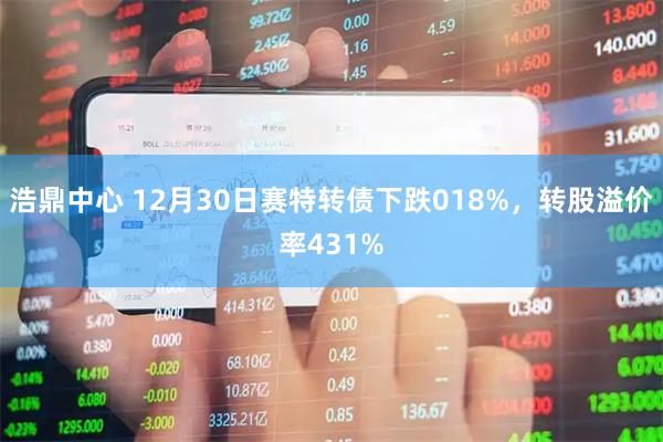 浩鼎中心 12月30日赛特转债下跌018%，转股溢价率431%