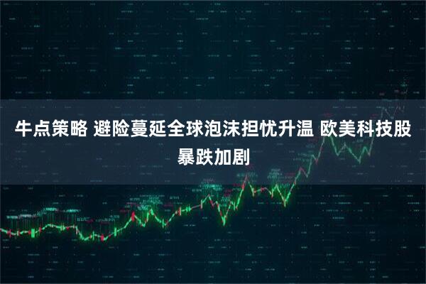 牛点策略 避险蔓延全球泡沫担忧升温 欧美科技股暴跌加剧